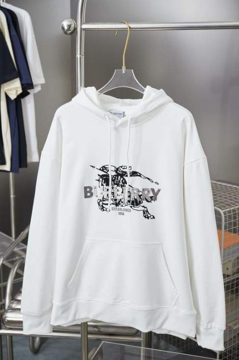 Picture of Burberry Hoodies _SKUBurberryS-XLhgntx051877
